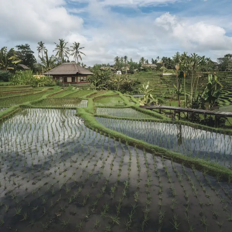 Bali Travel Guide