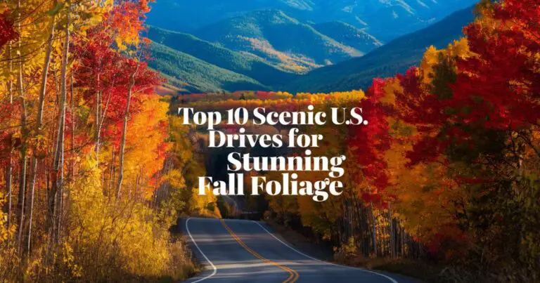 Scenic Drives
