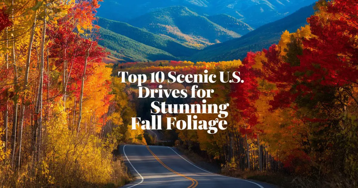Scenic Drives
